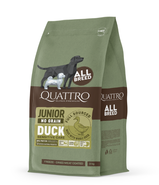All Breed Junior Duck