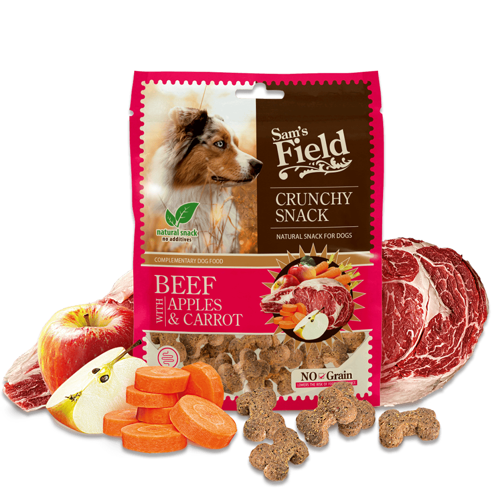 Crunchy Cracker Beef 200 gram