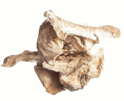 Cikorierødder 300 gram