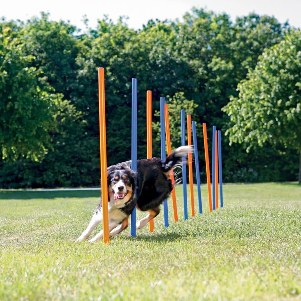 Agility pinde - slalomstænger