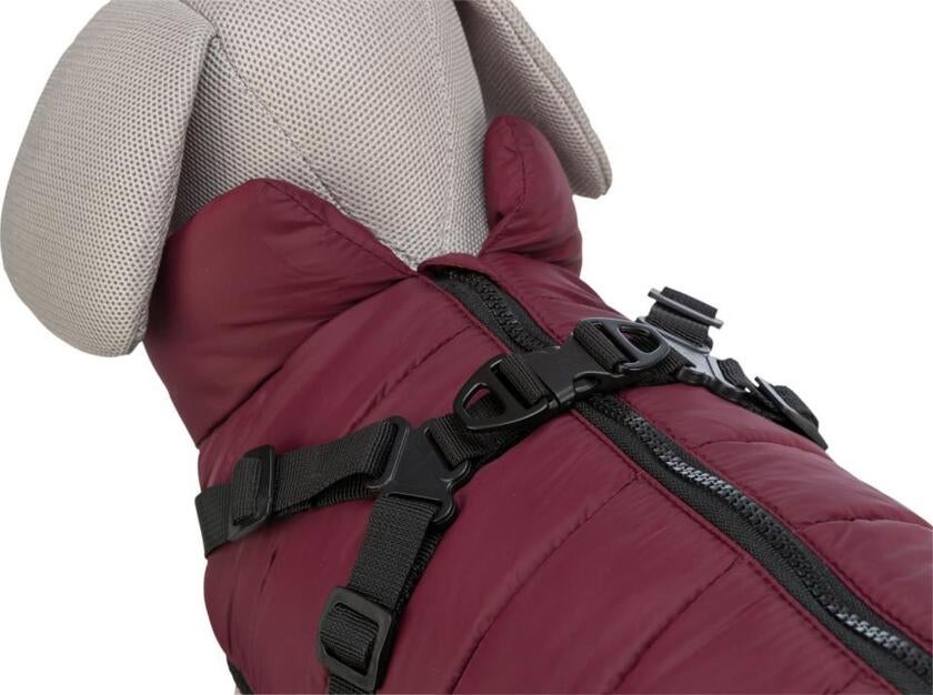 Pirou vinterjakke med hundesele