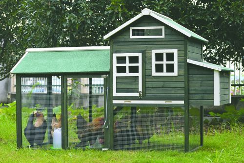Hønsehus usamlet grøn 