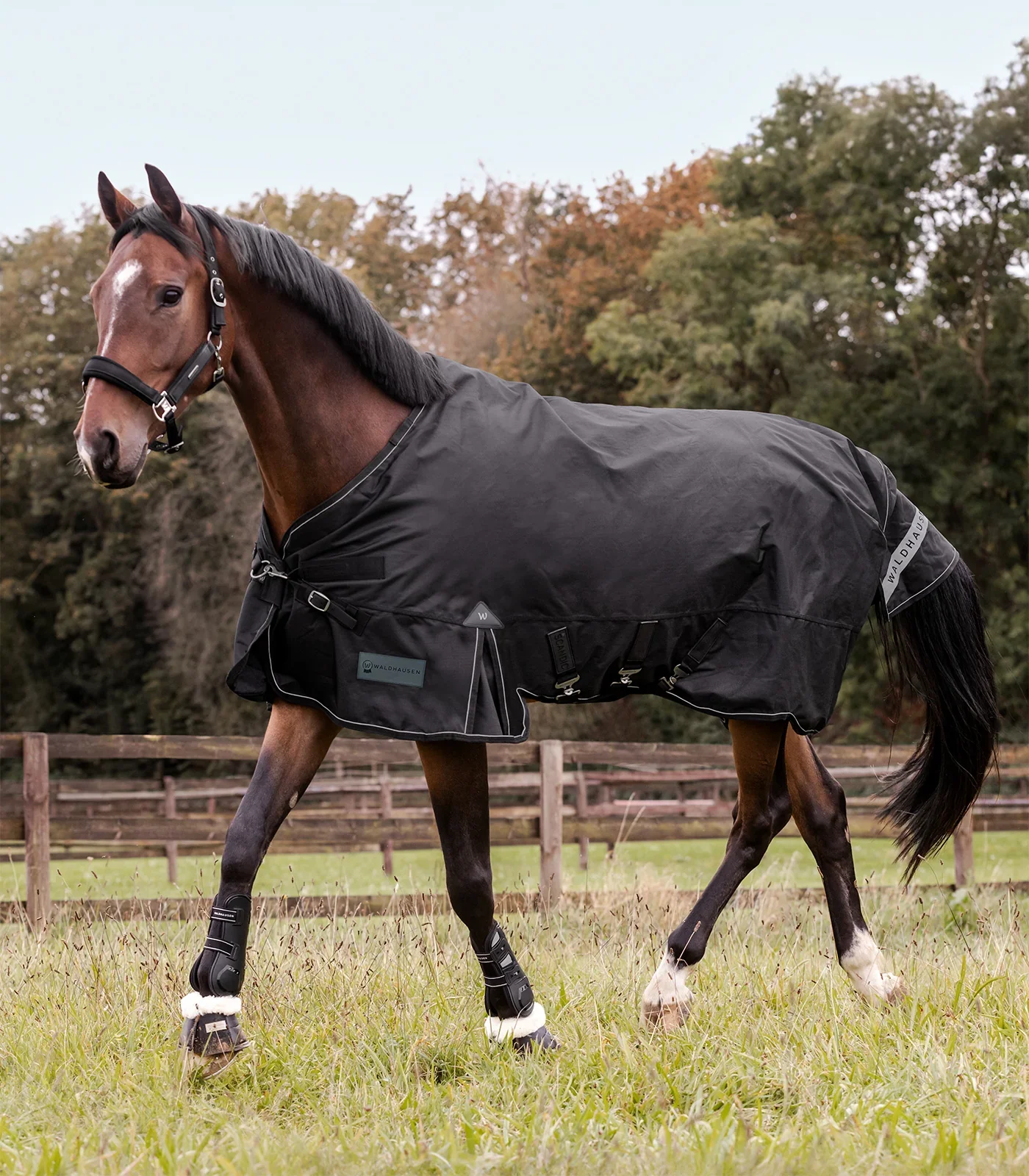 Scandic vinterdækken 300 gram