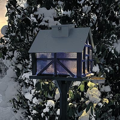 Fuglefoderhus på fod Panorama