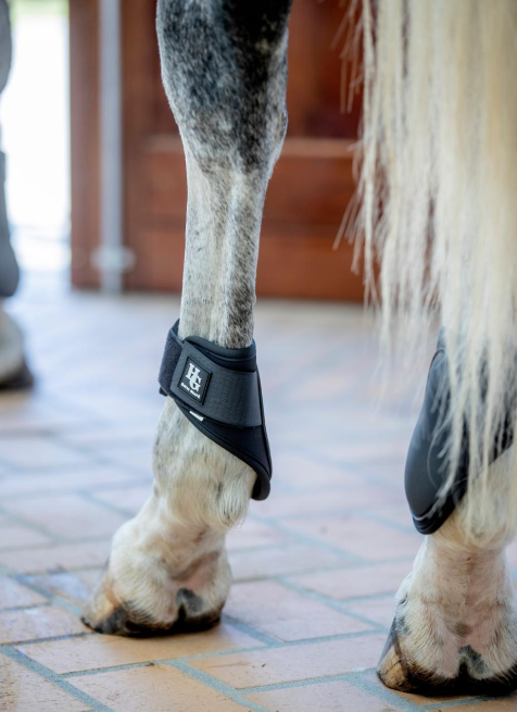 Tray Begbensgamacher