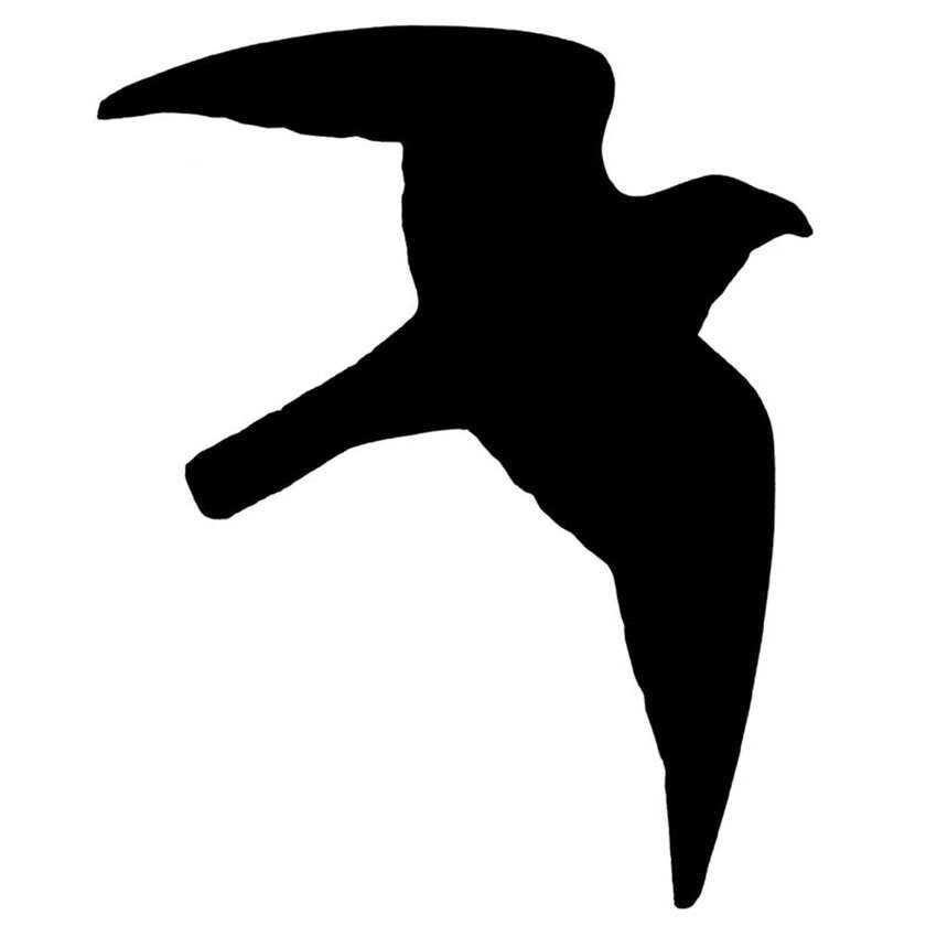 Rovfuglesilhuet klistermærke pr. stk