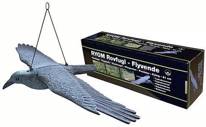 Rovfugl flyvende 81 cm