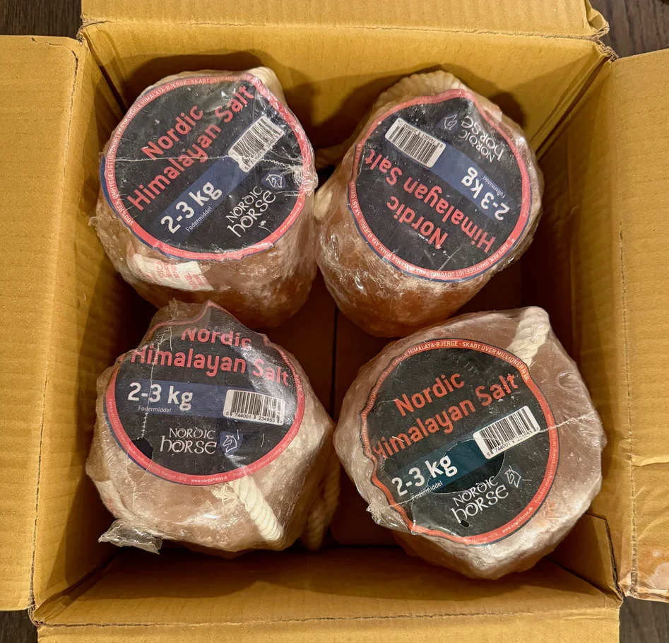 Himalayan Salt Block 4 stk. 