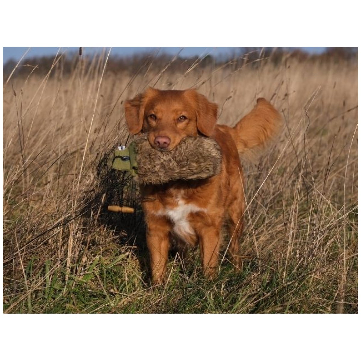 Dummy pels 500 gram