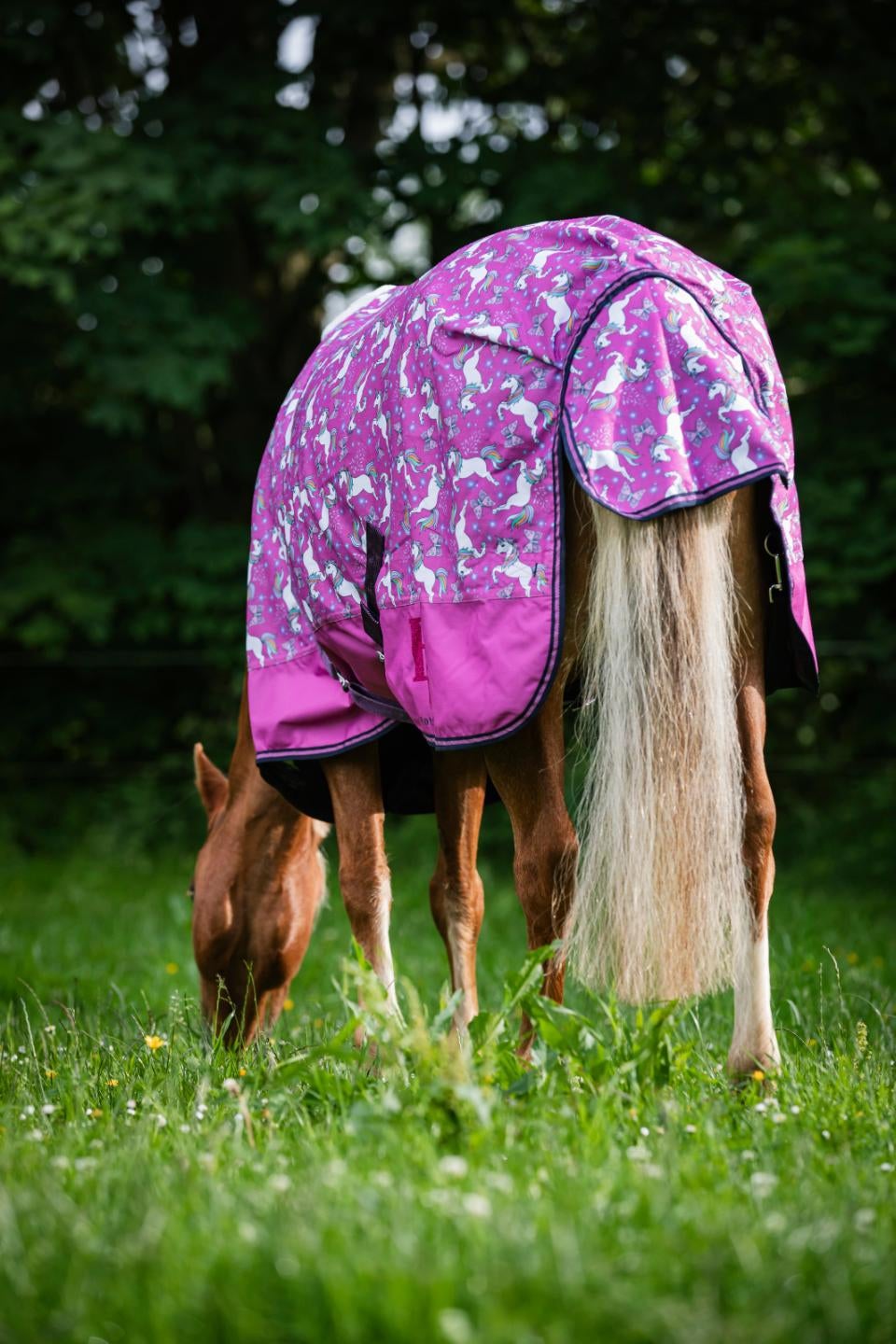 Josh Turnout dækken 600D 0g