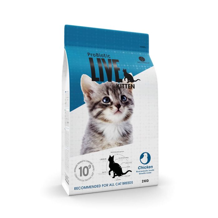 Prøvebæger kat kitten