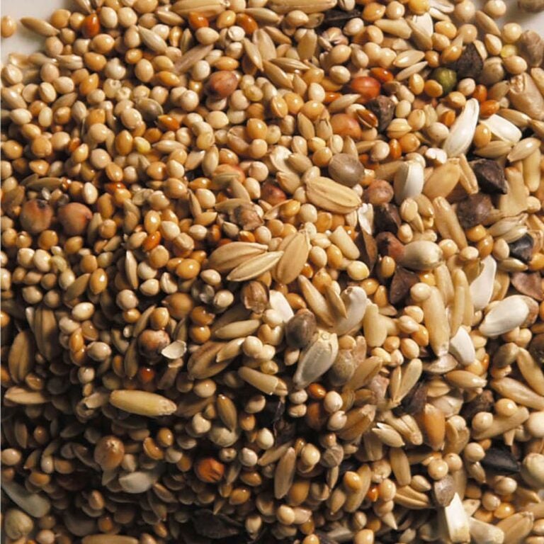King Standard parakit uden sol 15 kg