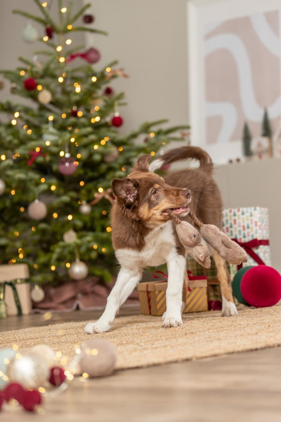 XMAS julepeberkagepar på reb