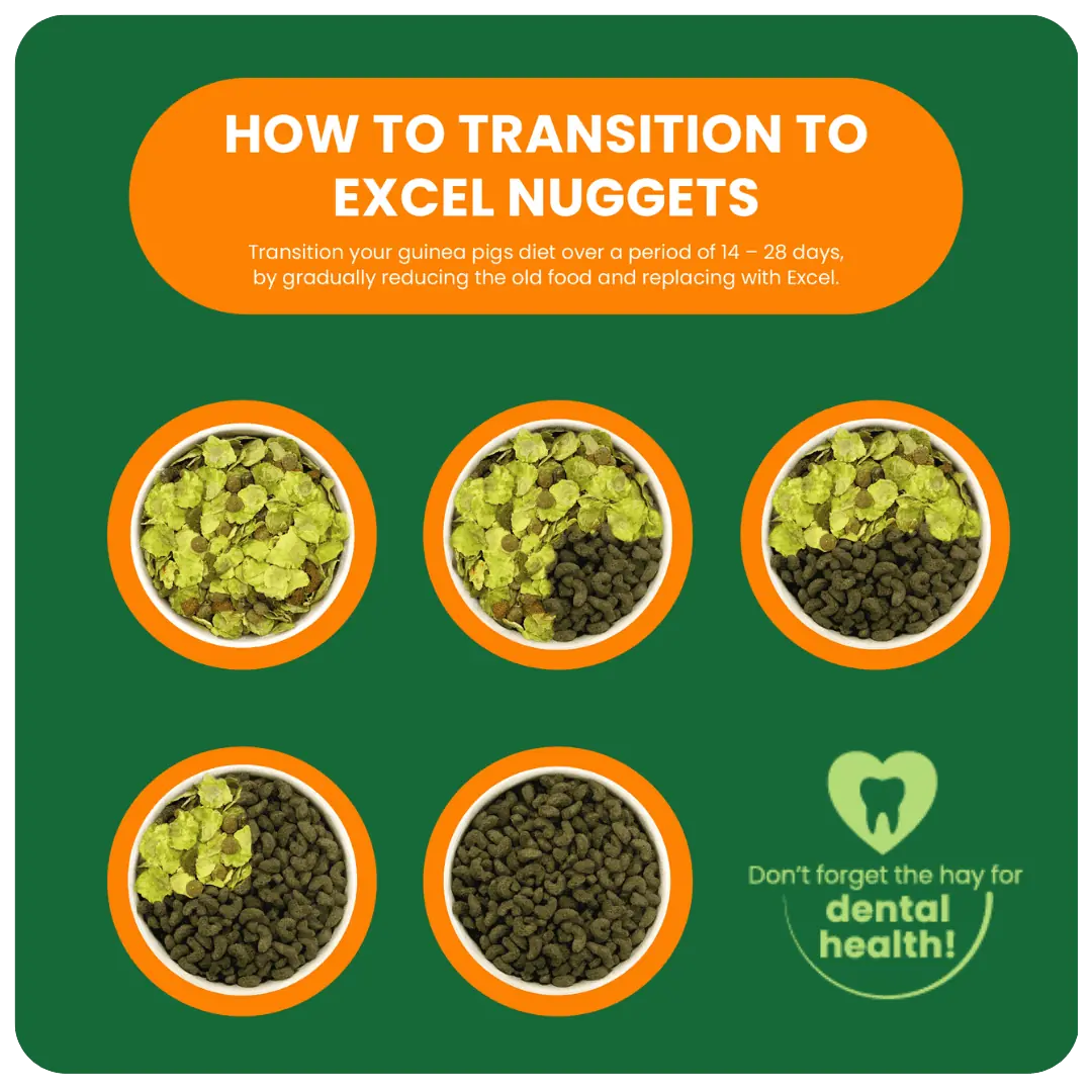 Excel Mature Guinea Pig Cranberry & Mint 1,5 kg