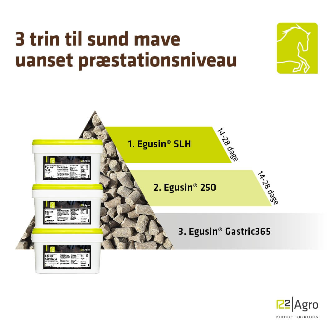 Egusin gastric 365 pellets 3 kg