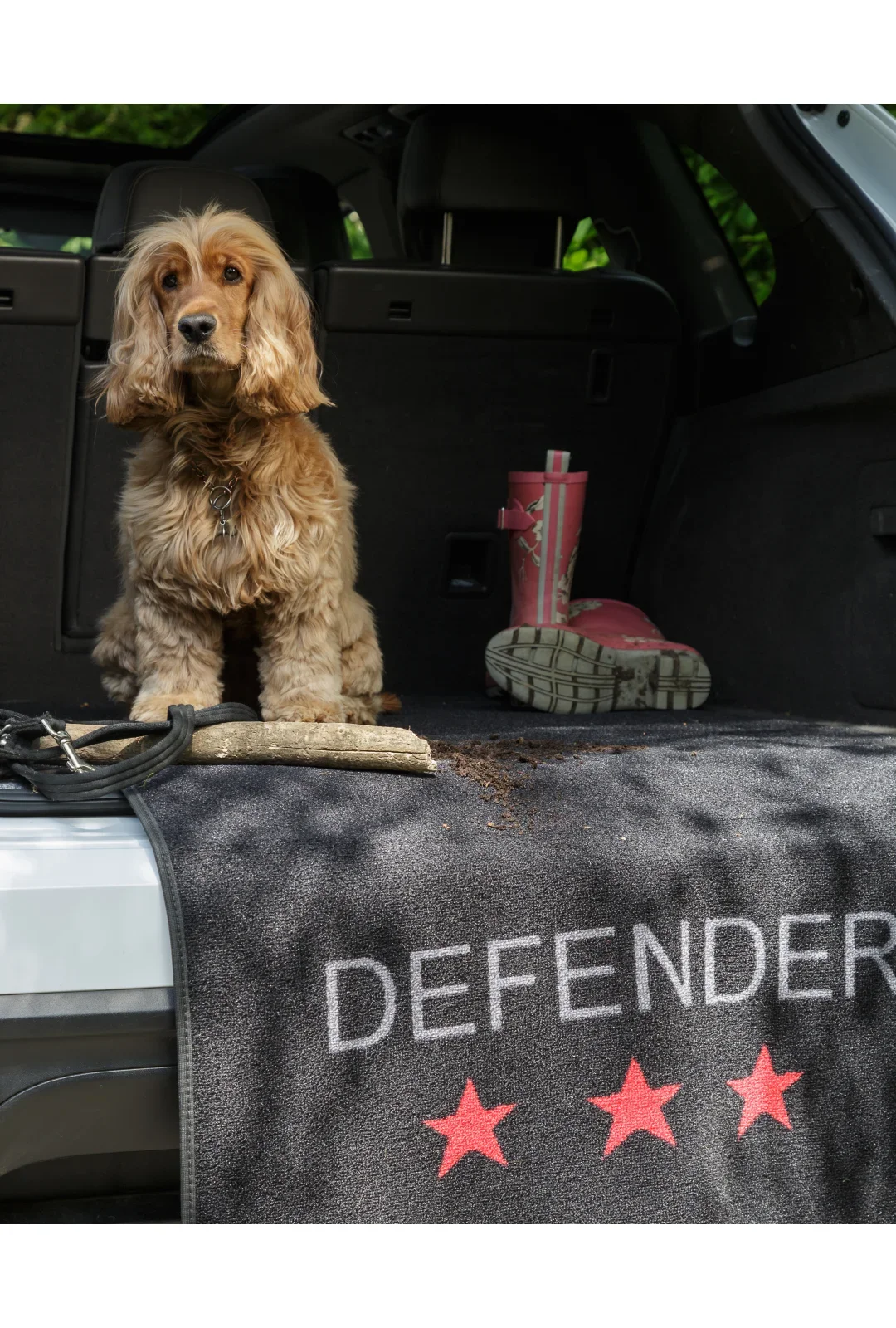 Bagagerums- & kofangermåtte Defender