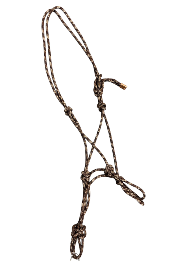 Rebgrime Kings & Queens