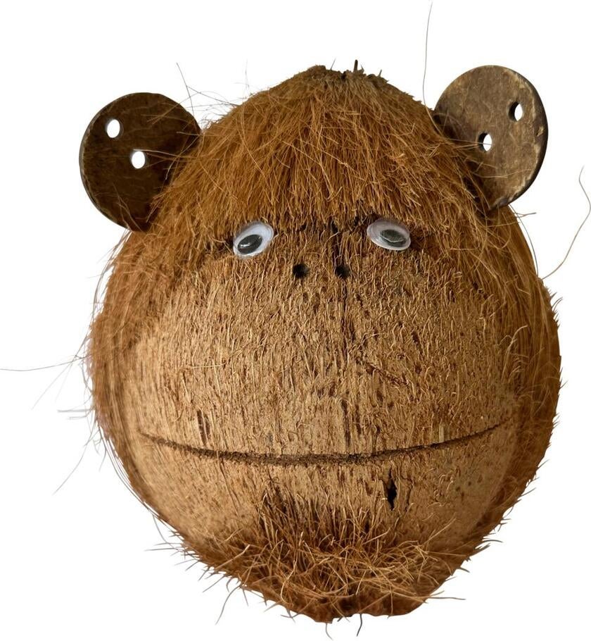 Coco monkey skjulested