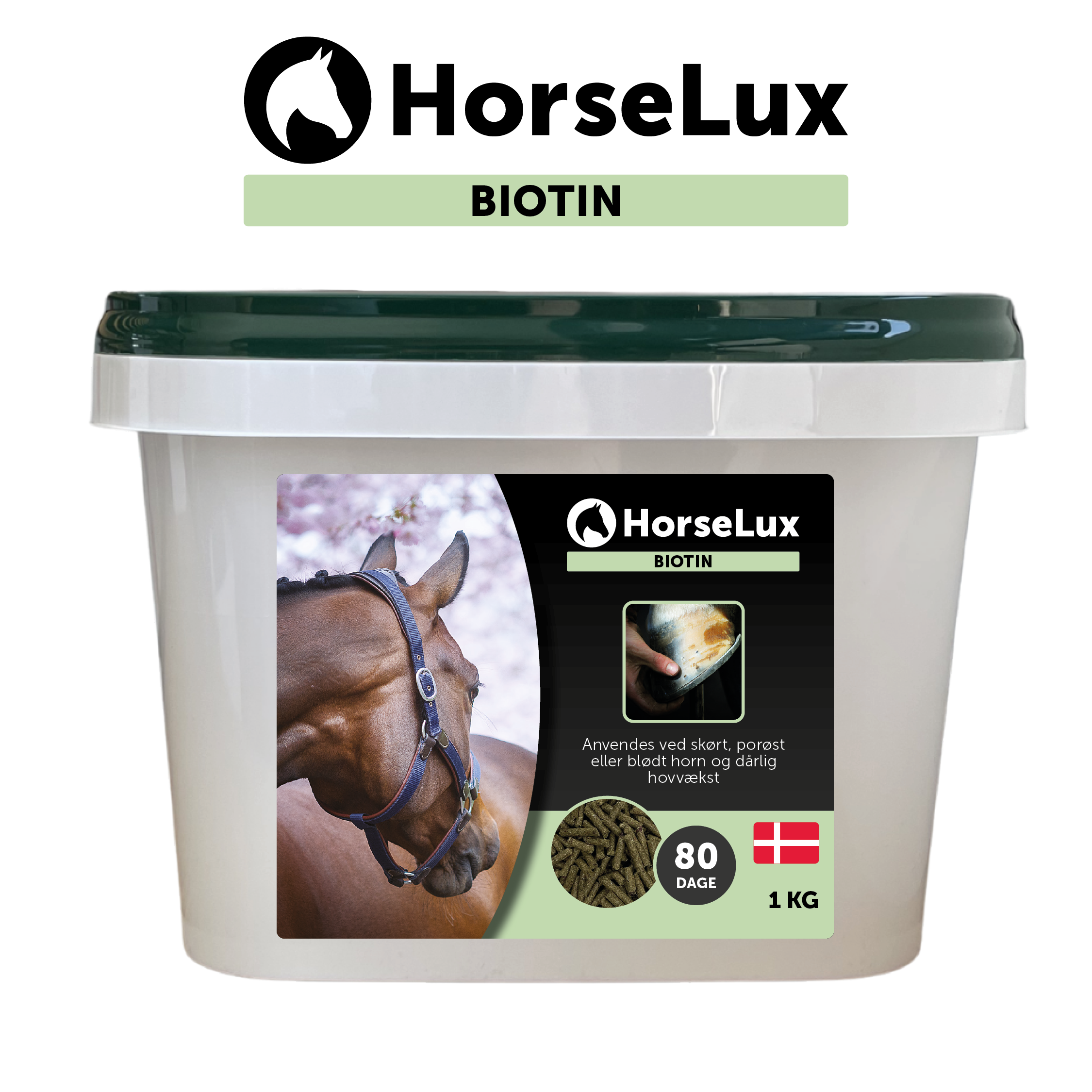 Biotin 1 kg