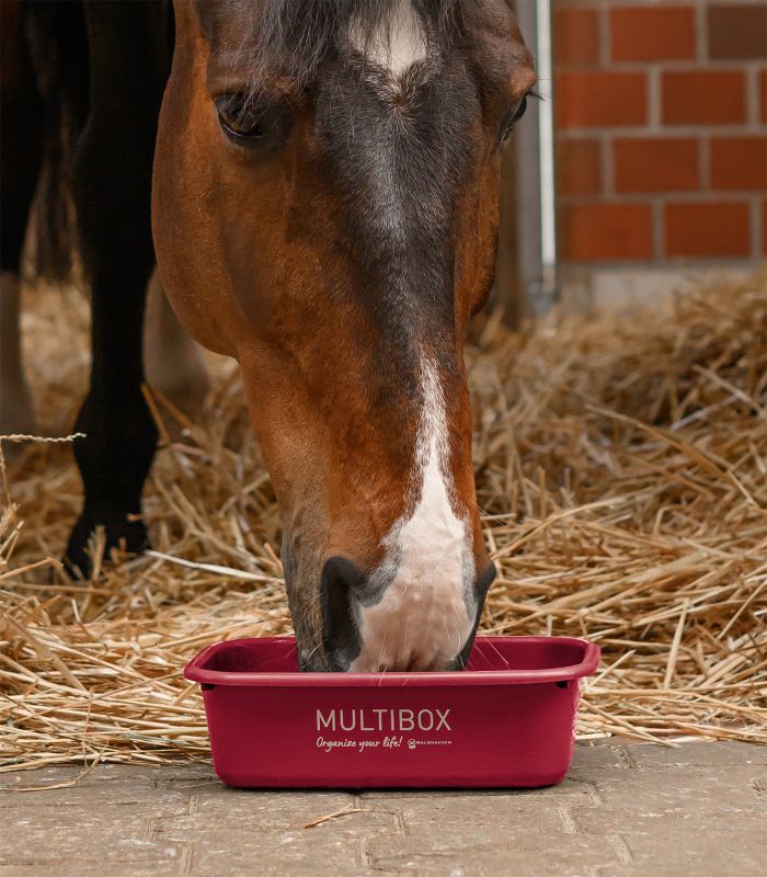 Multibox "Organize your life" 3 liter