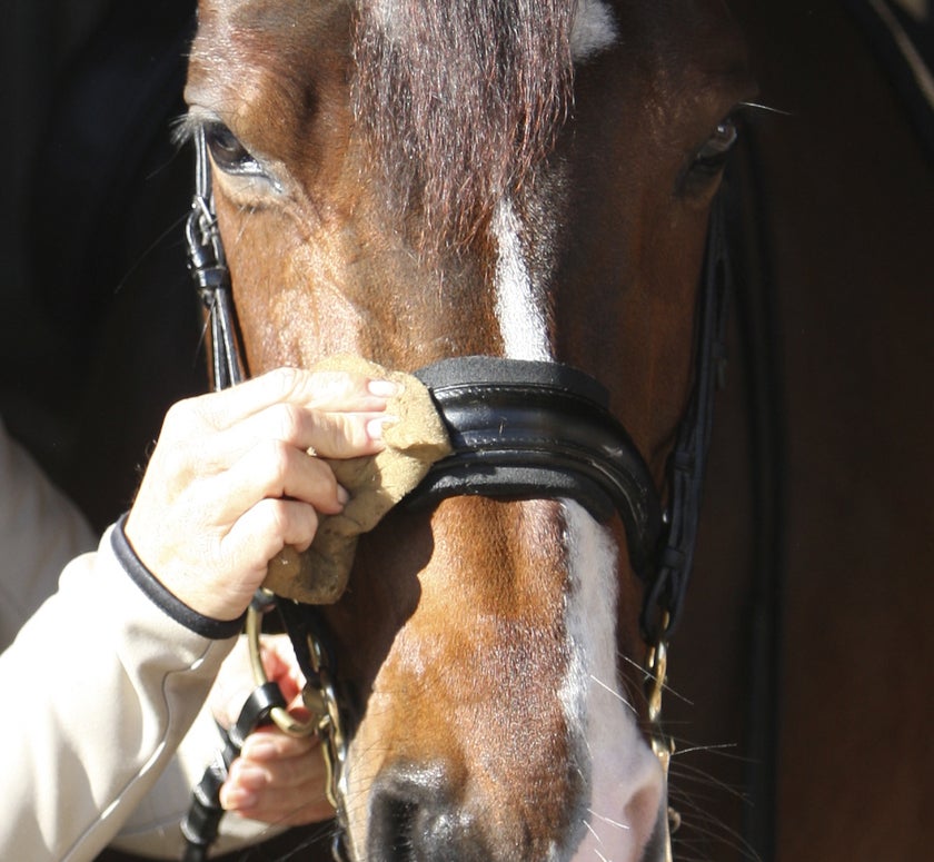 Horsecare Leather Conditioner 250 ml