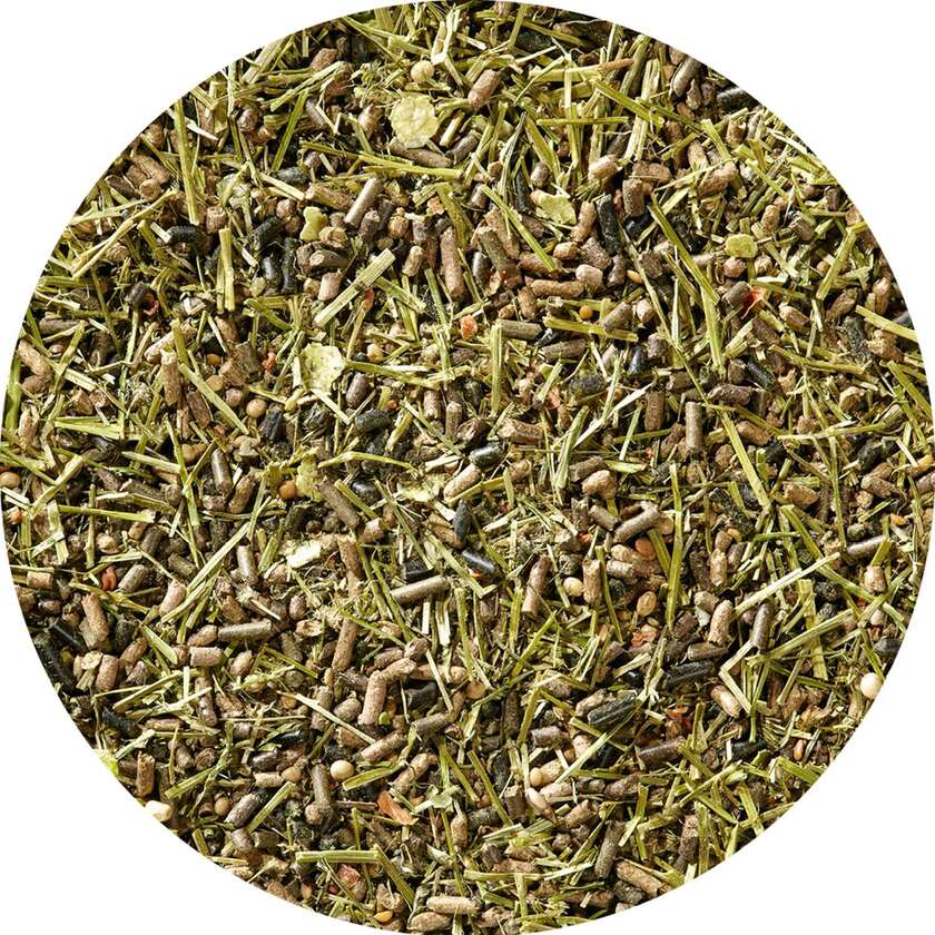 Performance Müsli 15 kg