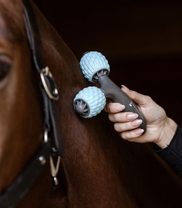 Health + Care Comfort massagerulle