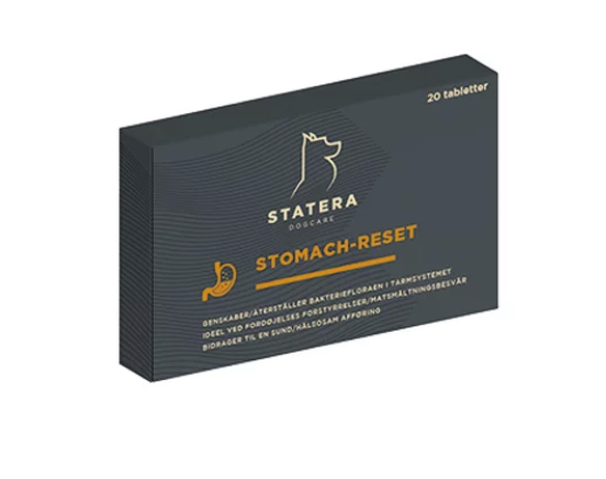 Stomach-Reset 20 tabletter