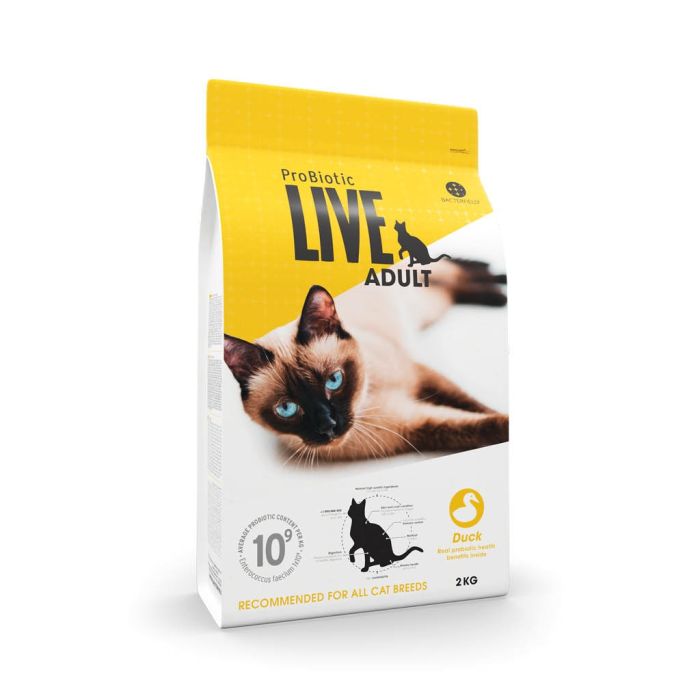 Prøvebæger kat adult and