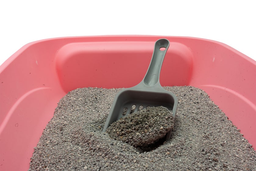 Summer Breeze 10 liter