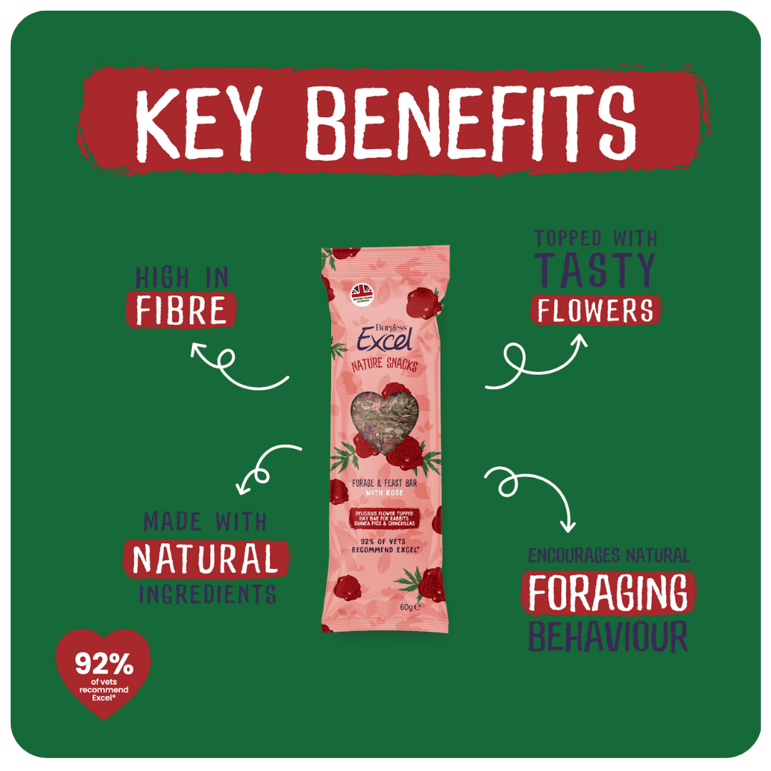 Excel Forage & Feast Bar Rose 60 gram