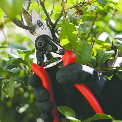 Beskæresaks Mini 204 mm