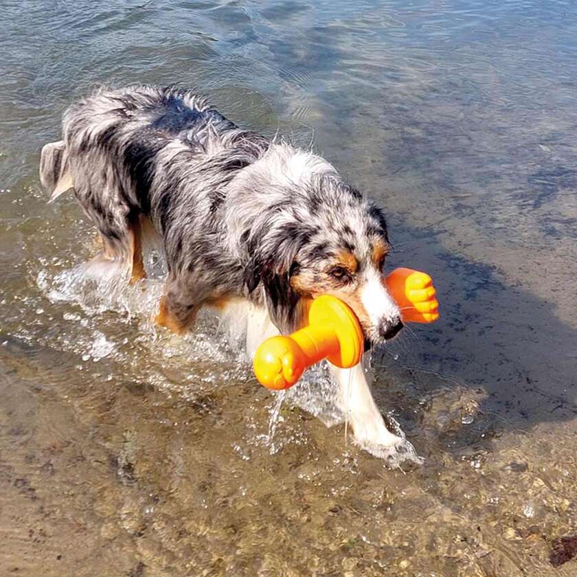 Floating bøje Robbi