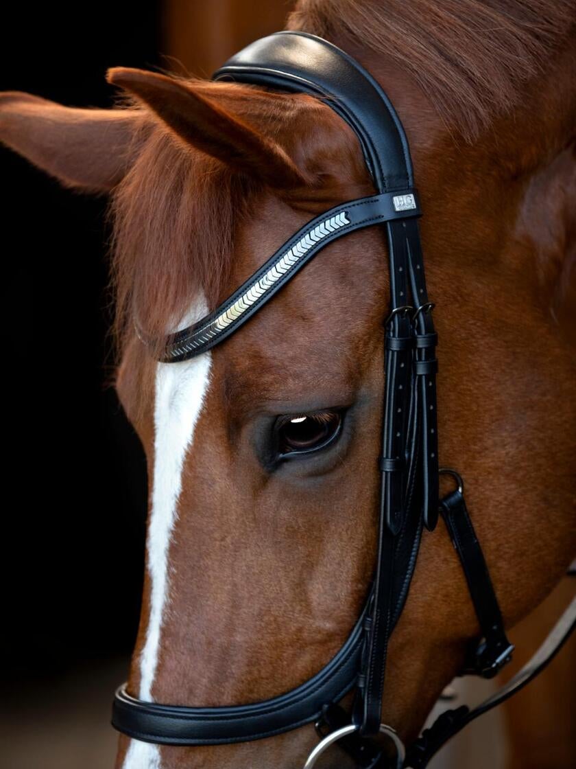 Tine anatomic trense