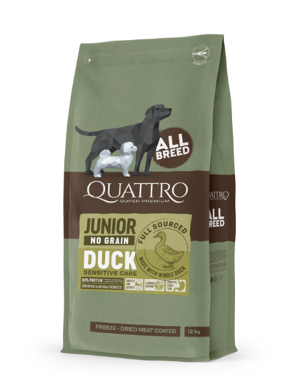 All Breed Junior Duck