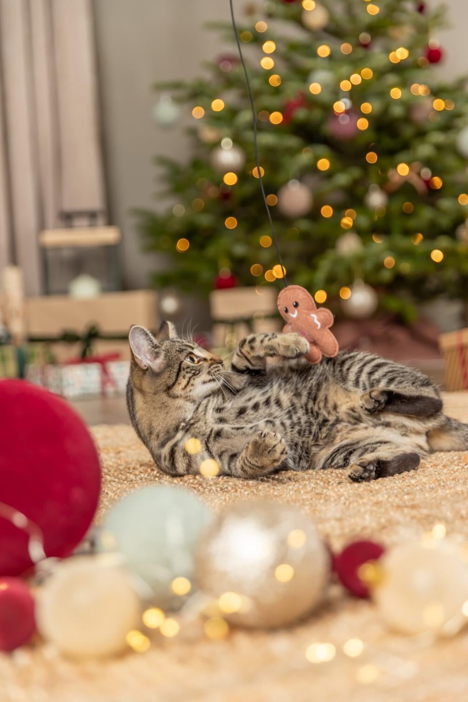 Xmas playing rod gingerbread man catnip 