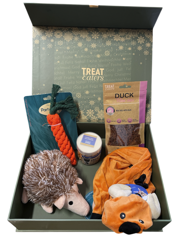 Julebox med legetøj og snack