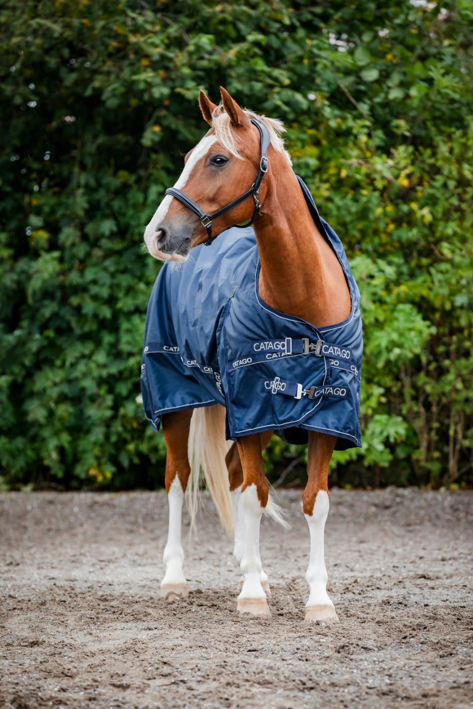 Barlow turnout dækken 300 gram