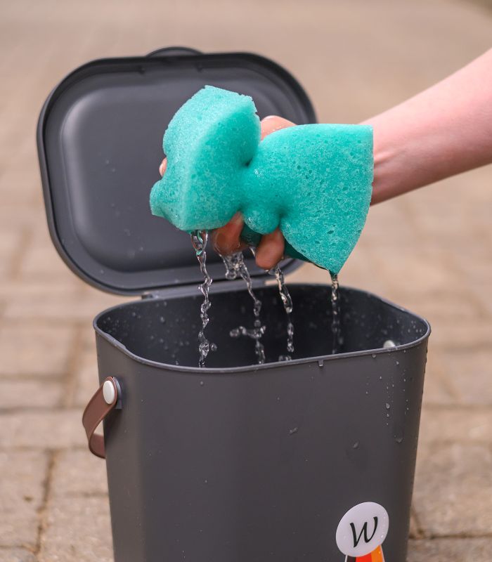 Svamp assorterede farver