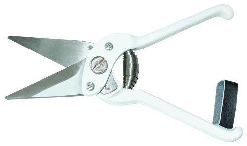 Klovsaks uden tænder til får