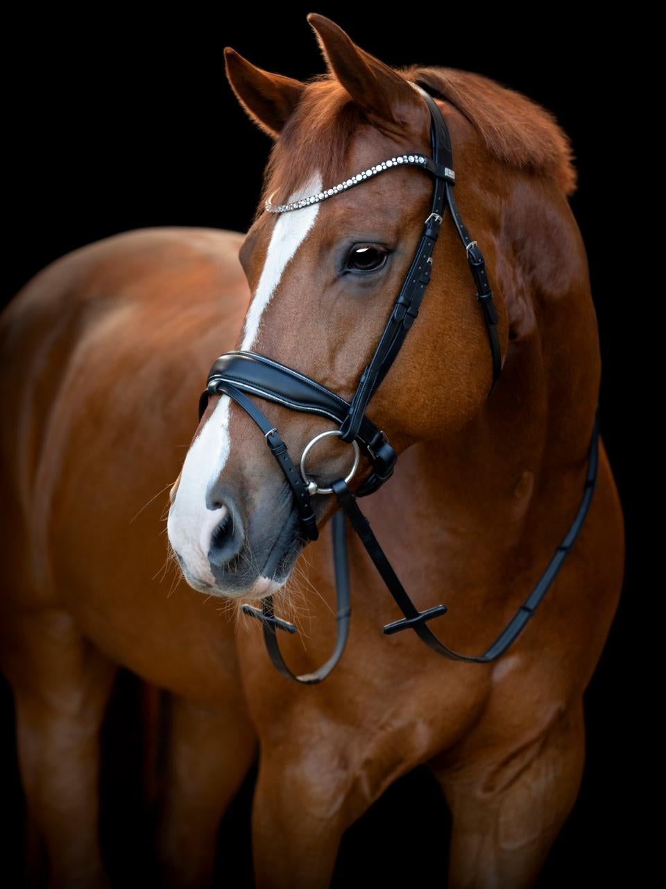 Cryll 25.1 trense komb. næsebånd m/tilbagetræk