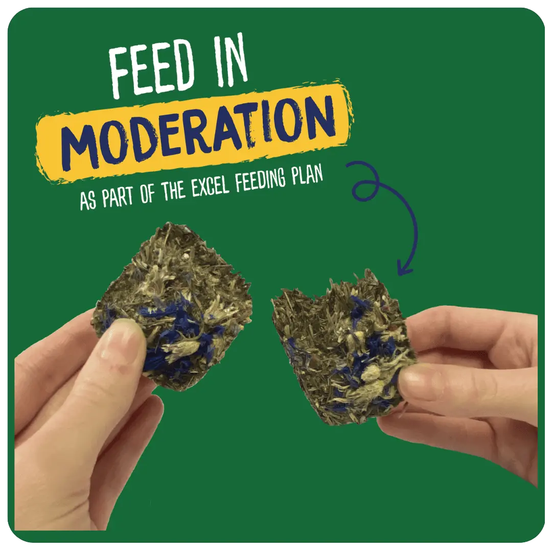 Excel Forage & Feast Bar Cornflower 60 gram