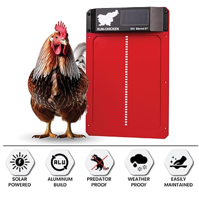 Hønsedør auto Eternal