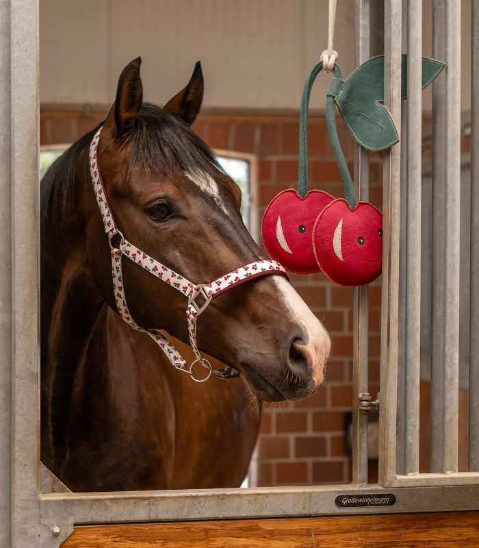 Legetøj til hest Cherry Lady 