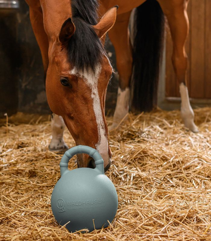 Fun Ball 