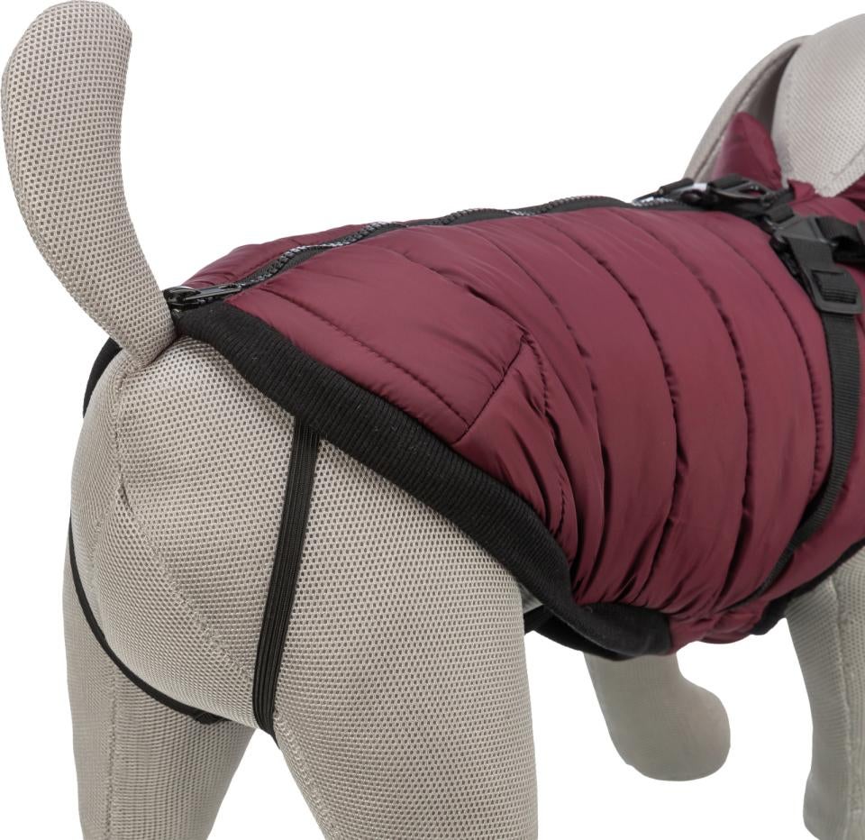 Pirou vinterjakke med hundesele