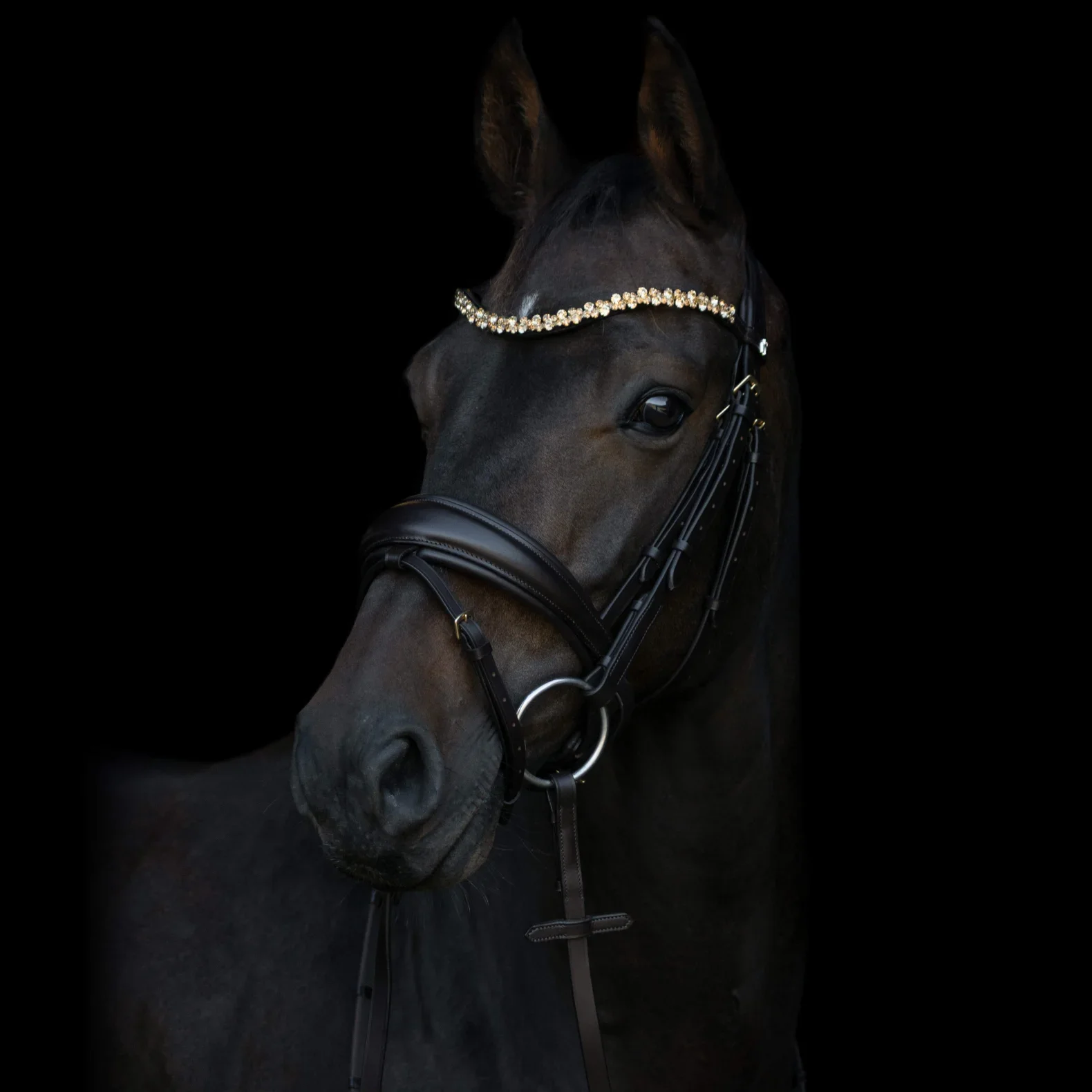 Prinsess pandebånd