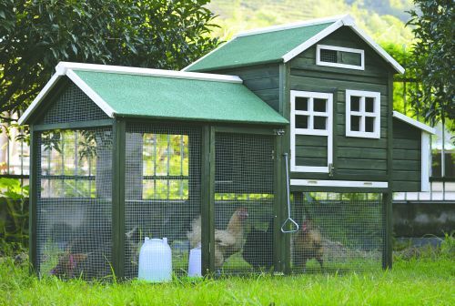 Hønsehus usamlet grøn 