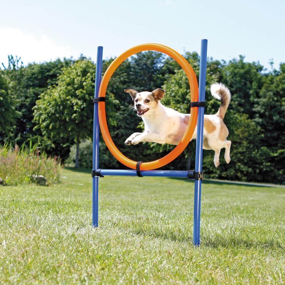 Trixie Fun Agility Ring - Justerbar træningsring til hunde