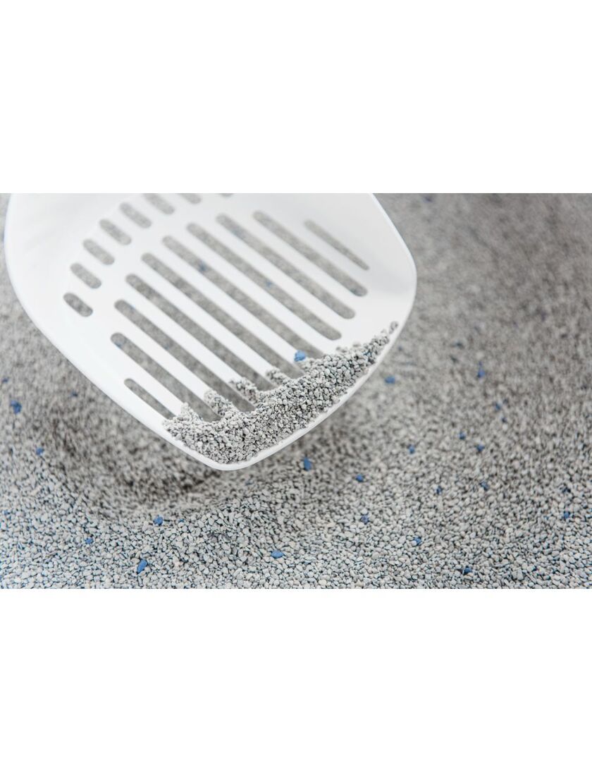 Extreme Classic Lavendel 14 kg